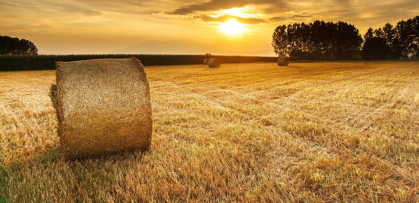 Agricultural Products