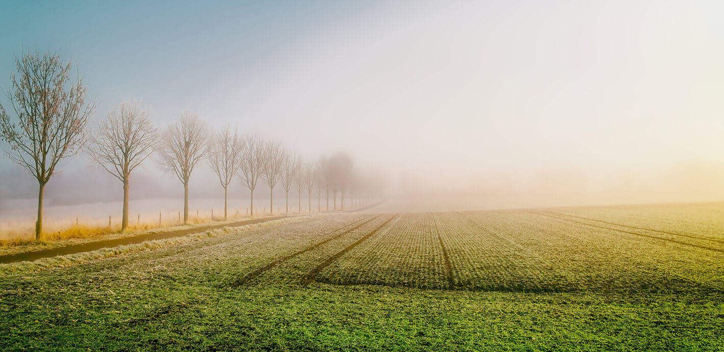 Agricultural Products